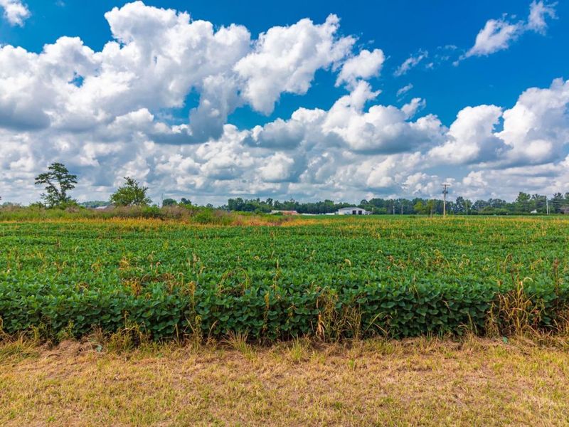 0 Tranquility Pike, Seaman, OH 45679 Photo 5