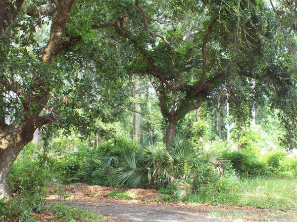 000 Eventide Rd, Milton, FL 32583