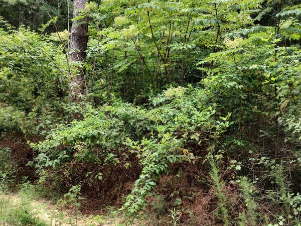 No Lakeshore Drive, Lumberton, MS 39455