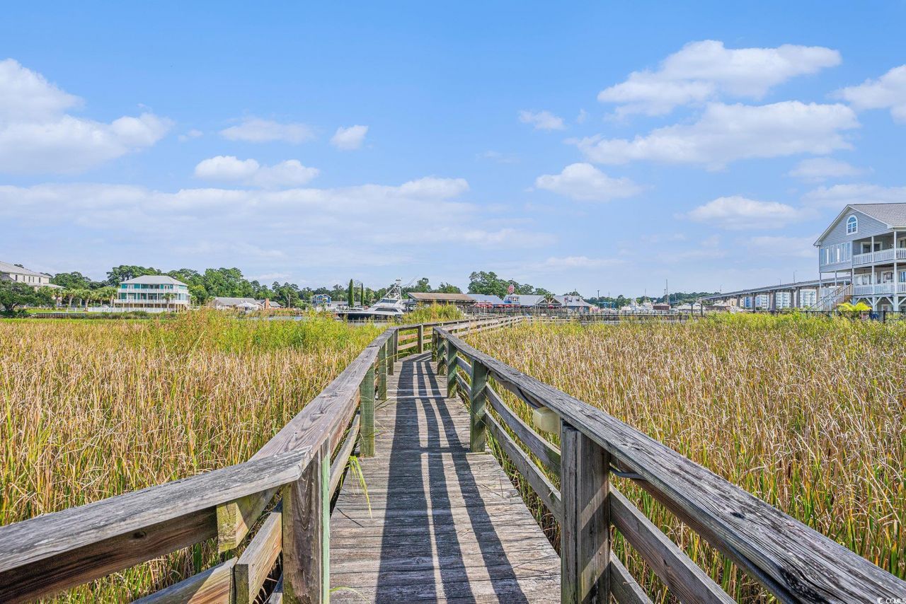 202 Old Harbour Ct. Photo 30