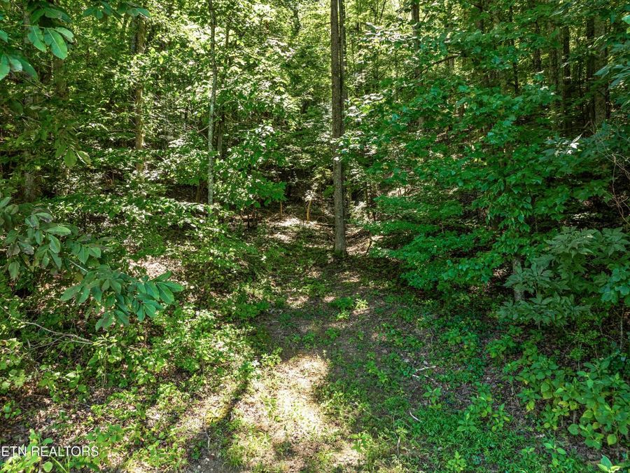 Property Image 46