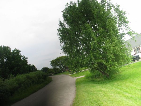 8899 Sussex Court, Onsted, MI 49265