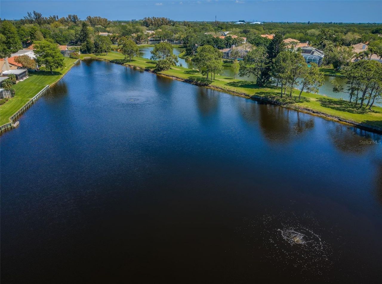 4916 Milano Court Ne, Saint Petersburg, FL 33703 Photo