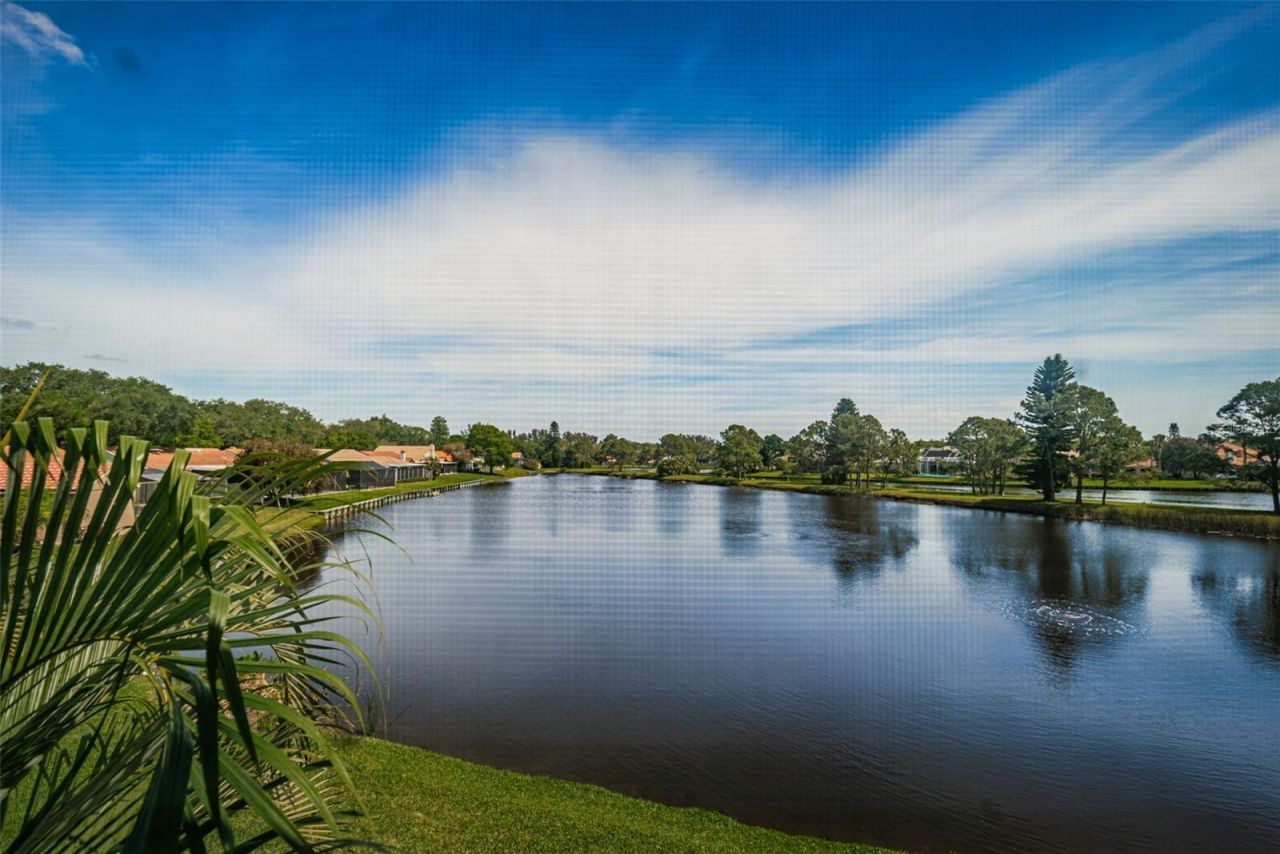 4916 Milano Court Ne, Saint Petersburg, FL 33703 Photo