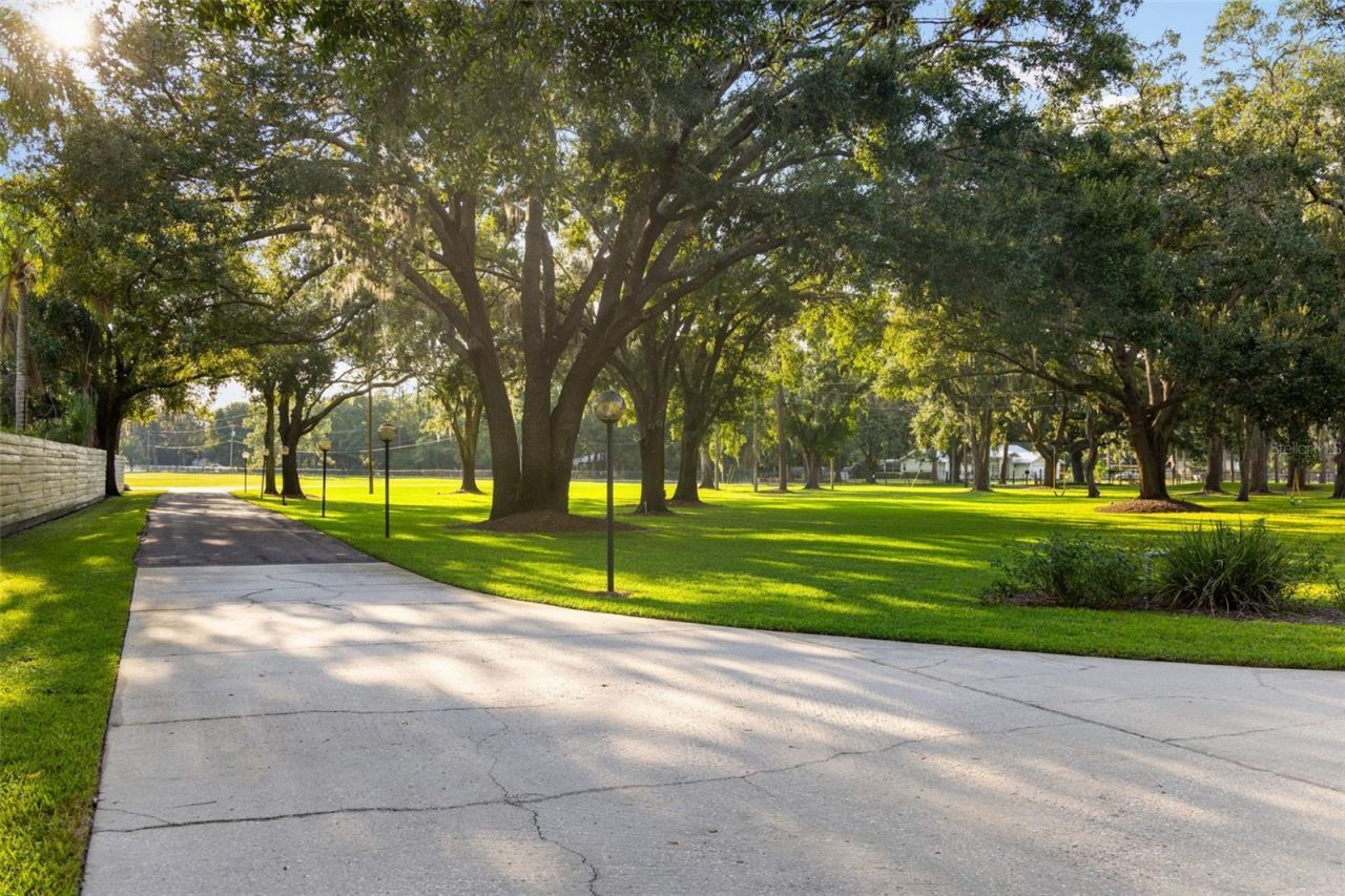 9116 Roberts Road, Odessa, FL 33556 Photo