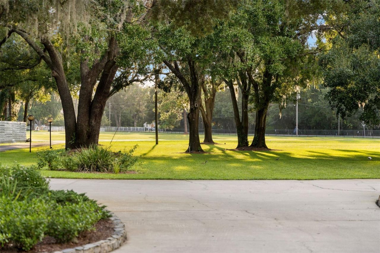 9116 Roberts Road, Odessa, FL 33556 Photo