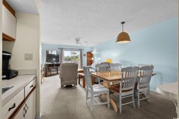 223 Maison Dr. photo 4