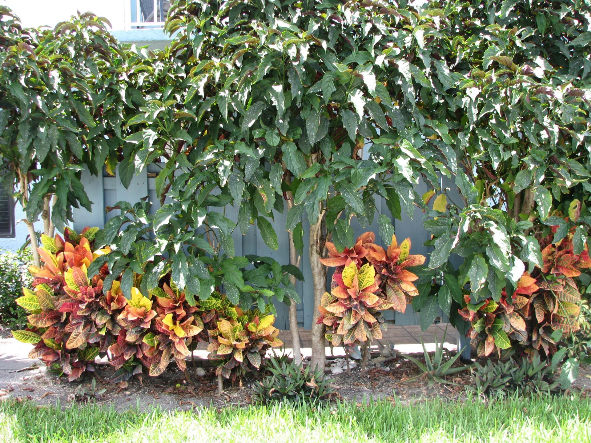 950 S Kanner Highway, Unit D-4, Stuart, FL 34994 Photo