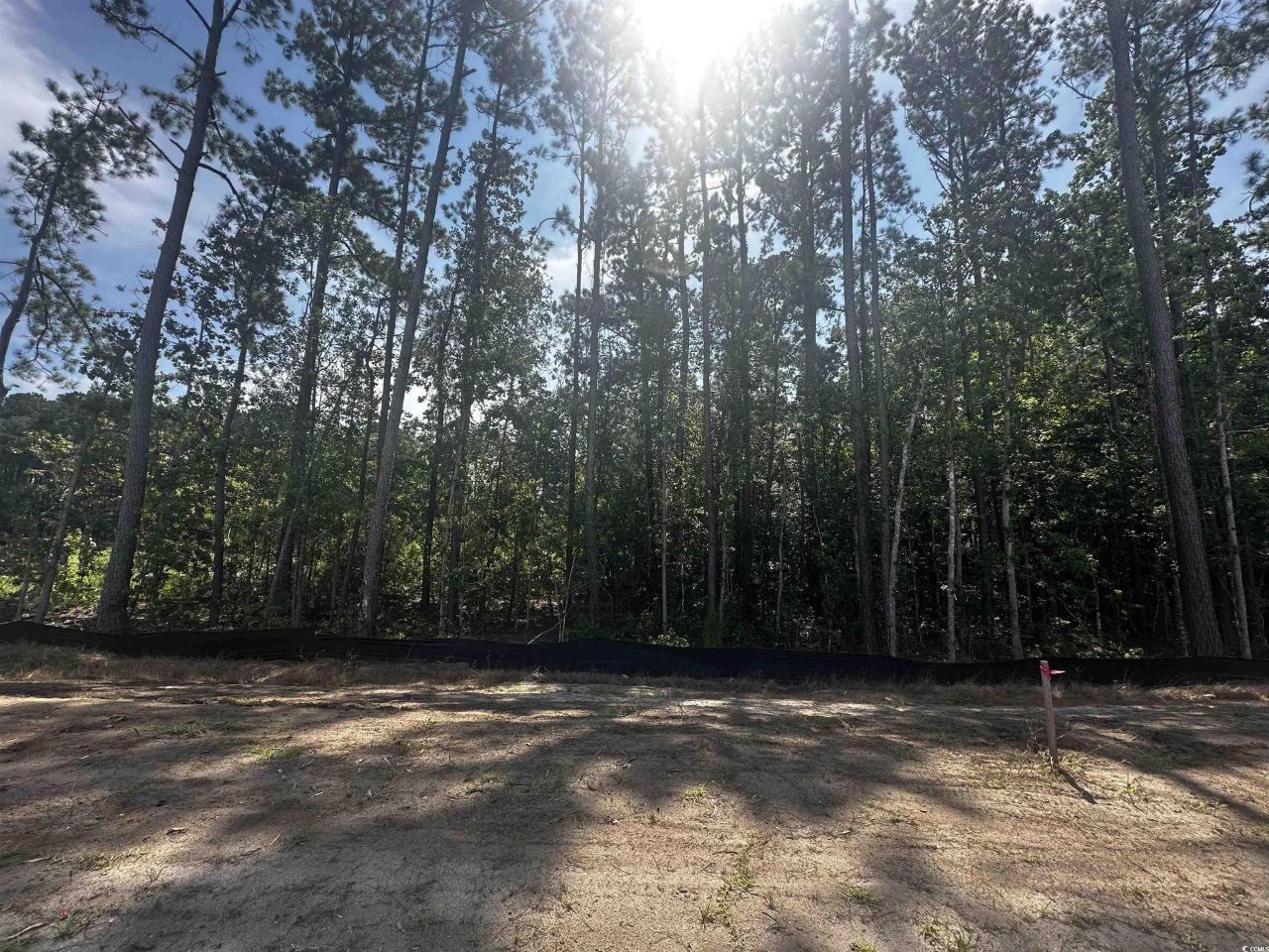 404 Ireland Way Photo 12