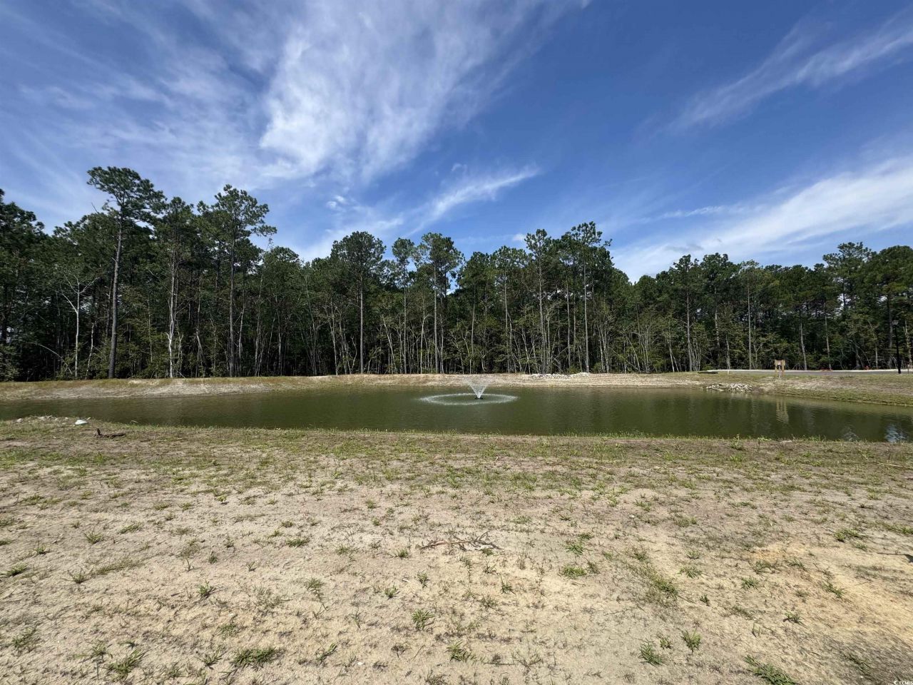 469 Ireland Way Photo 13