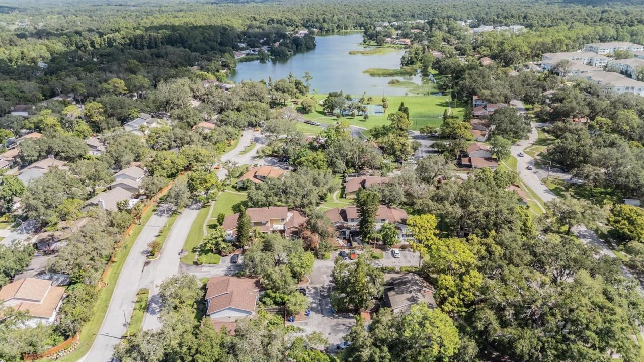 14631 Lake Forest Drive, Lutz, FL 33559 Photo