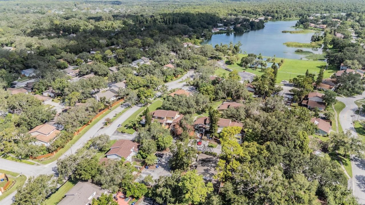 14631 Lake Forest Drive, Lutz, FL 33559 Photo