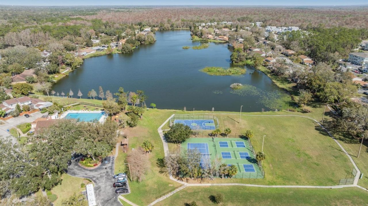 14631 Lake Forest Drive, Lutz, FL 33559 Photo