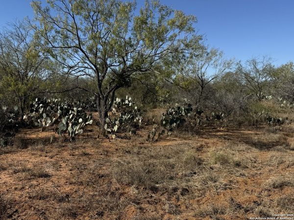 117 CR 2644, Moore, TX 78057