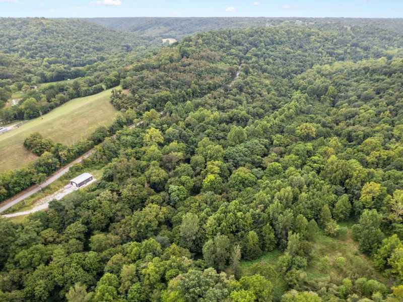 5104 Dutch Ridge Road, Augusta, KY 41002 Photo 8