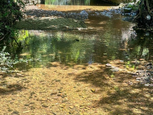 115 Westerly Dr, Nashville, TN 37221