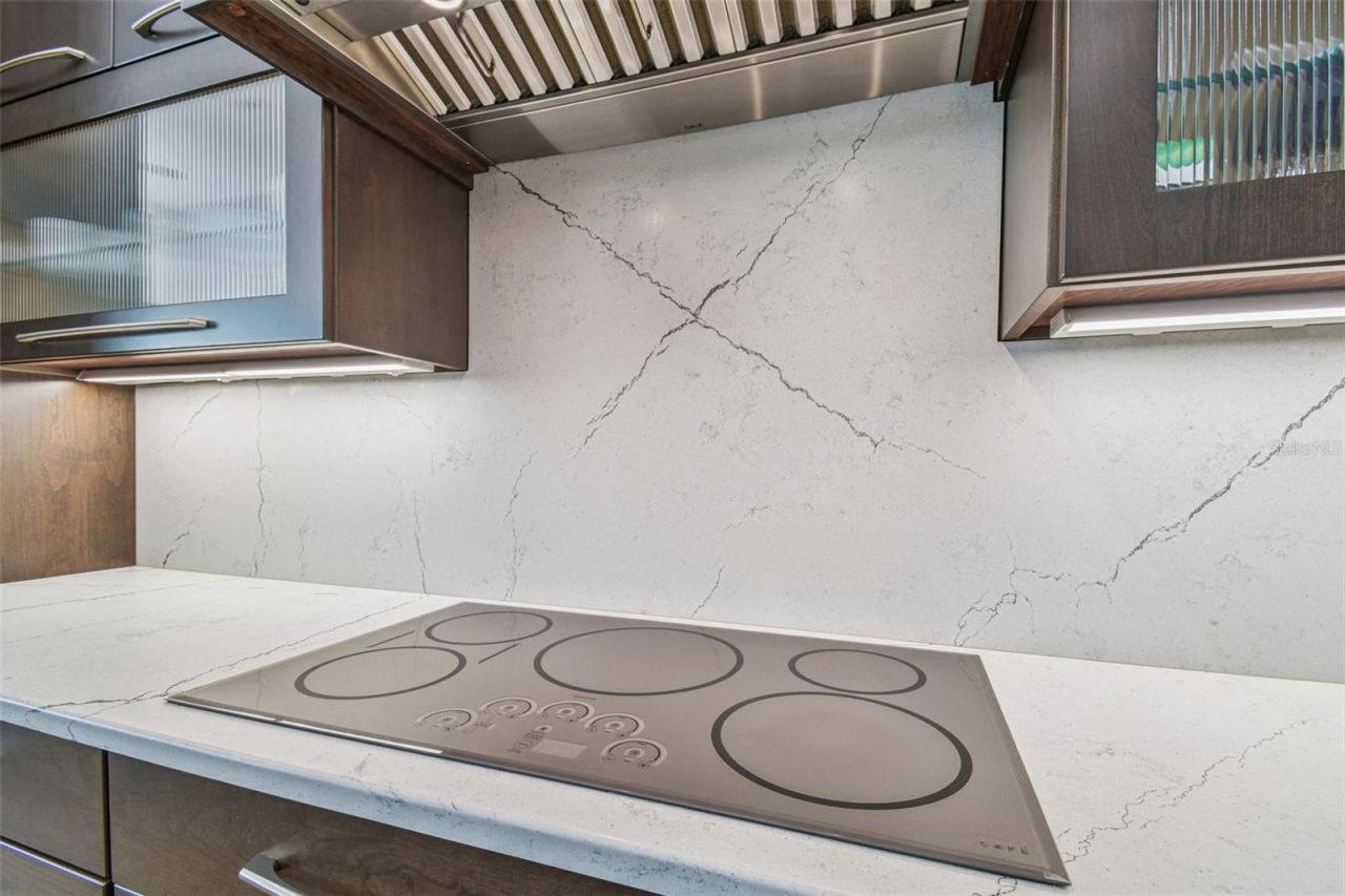 29171 Ginnetto Drive, Wesley Chapel, FL 33543 Photo