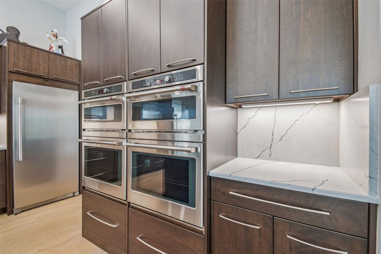 29171 Ginnetto Drive, Wesley Chapel, FL 33543 Photo