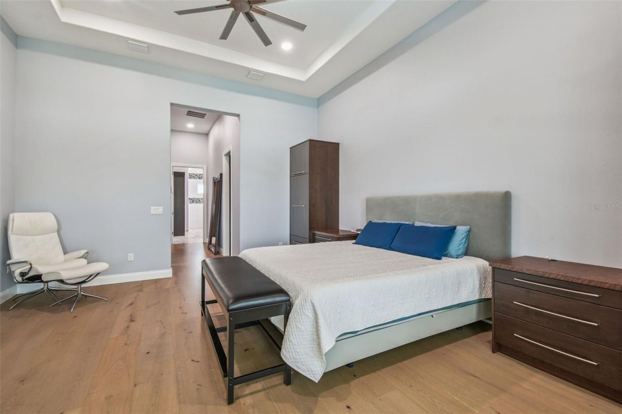 29171 Ginnetto Drive, Wesley Chapel, FL 33543 Photo