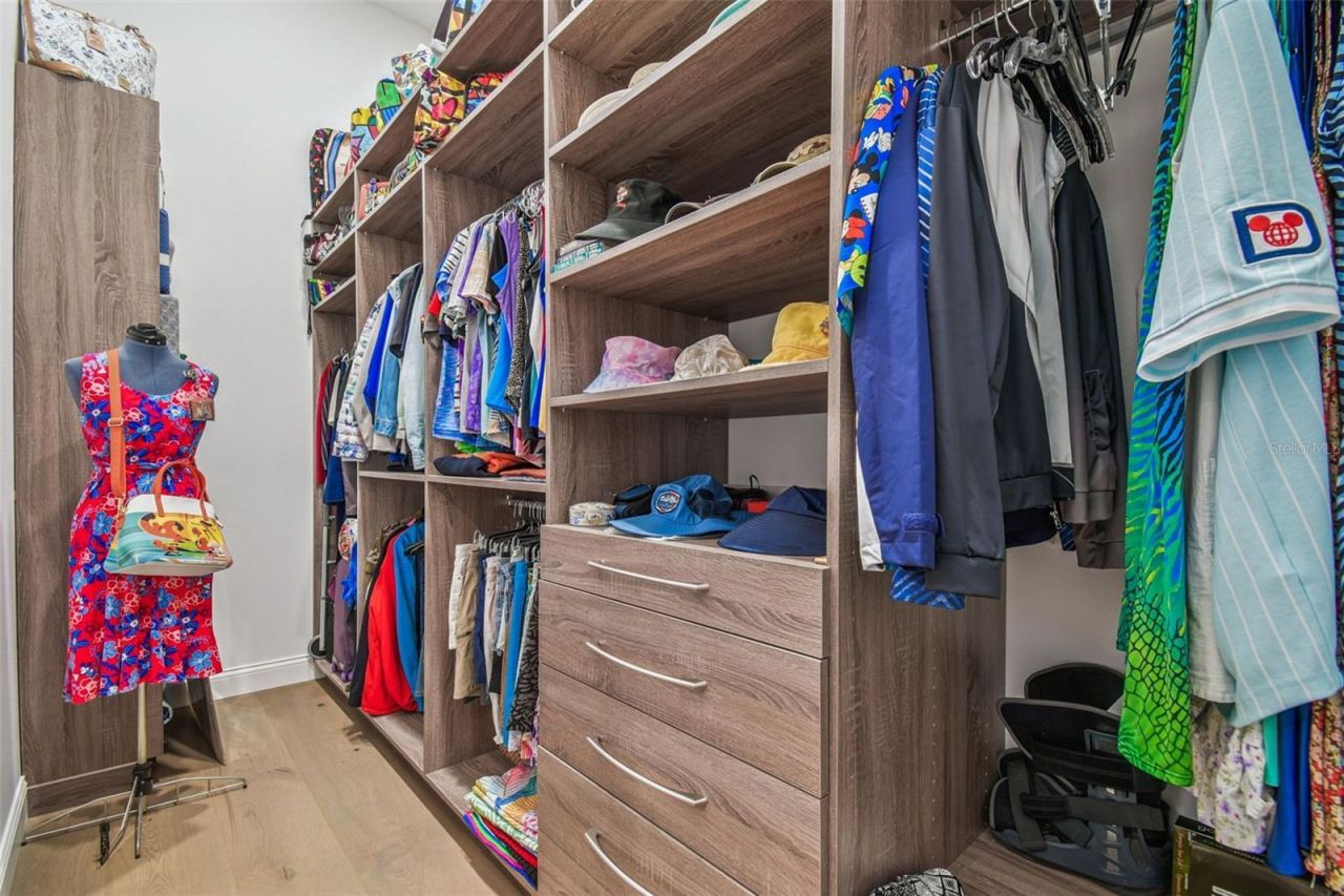 29171 Ginnetto Drive, Wesley Chapel, FL 33543 Photo