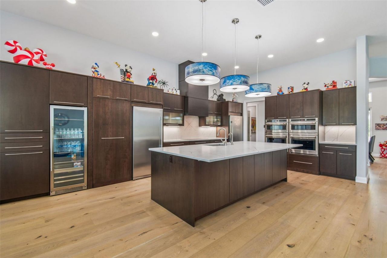 29171 Ginnetto Drive, Wesley Chapel, FL 33543 Photo