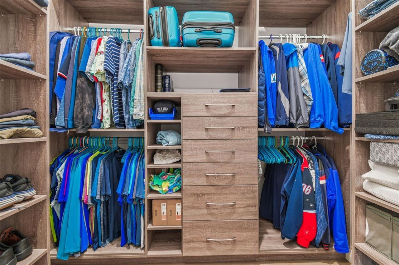 29171 Ginnetto Drive, Wesley Chapel, FL 33543 Photo