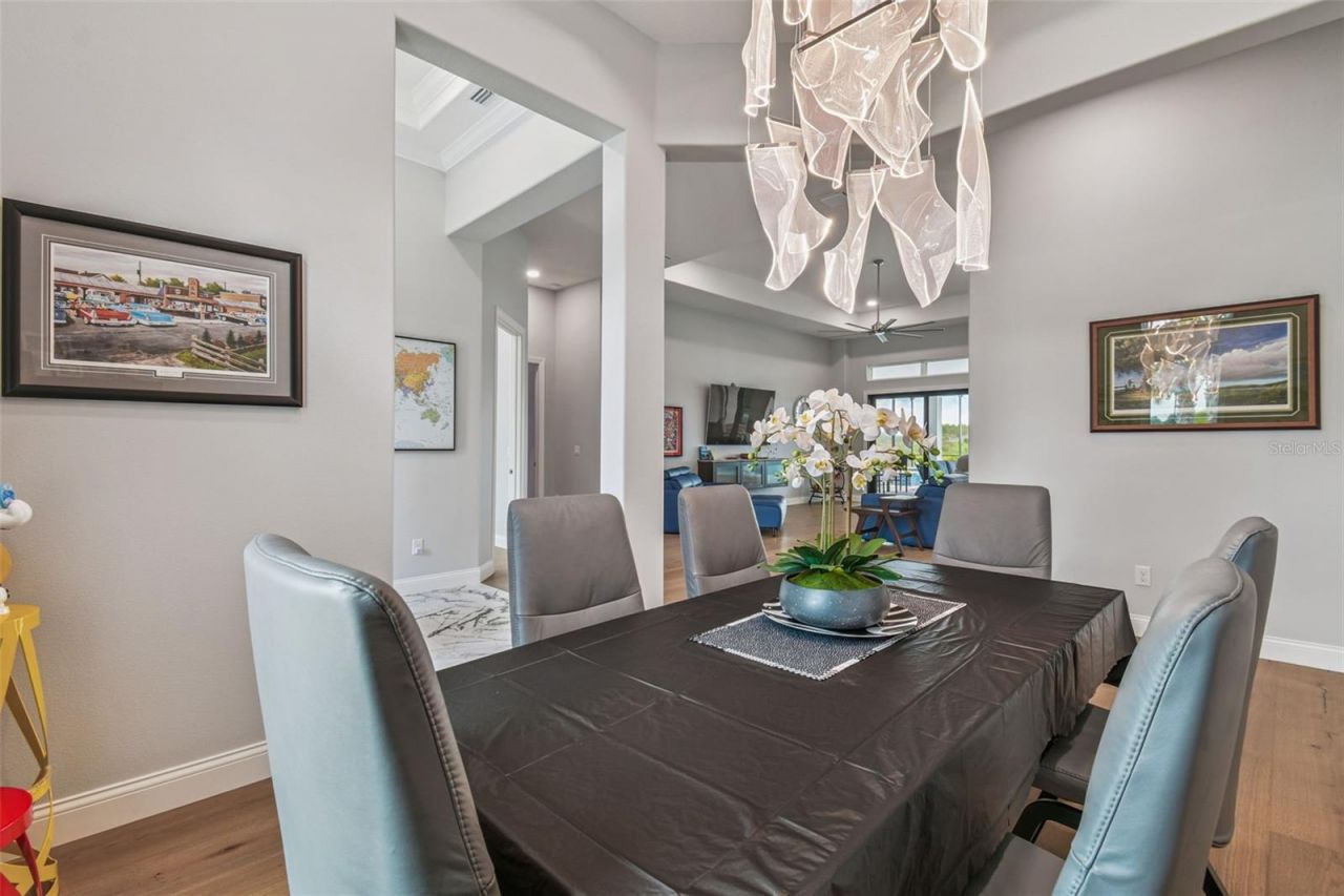 29171 Ginnetto Drive, Wesley Chapel, FL 33543 Photo