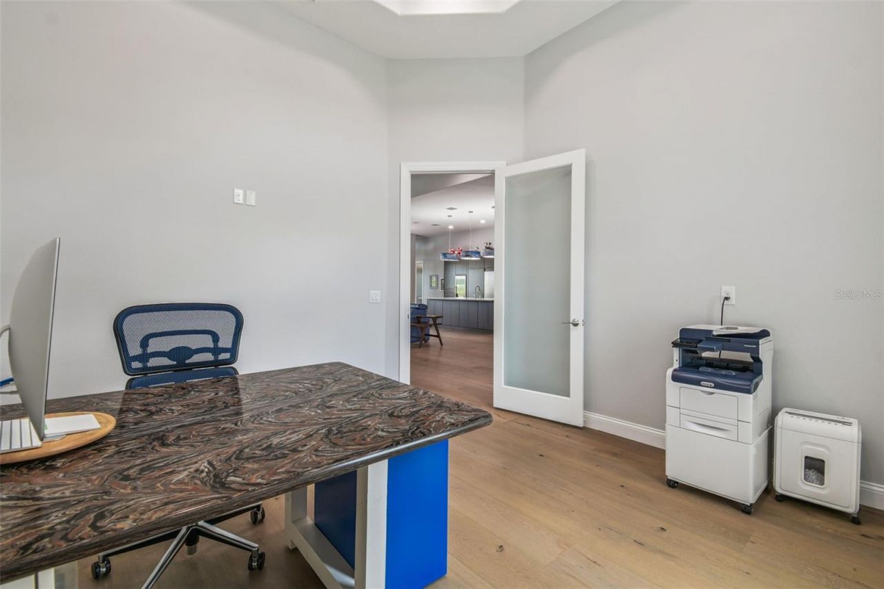 29171 Ginnetto Drive, Wesley Chapel, FL 33543 Photo