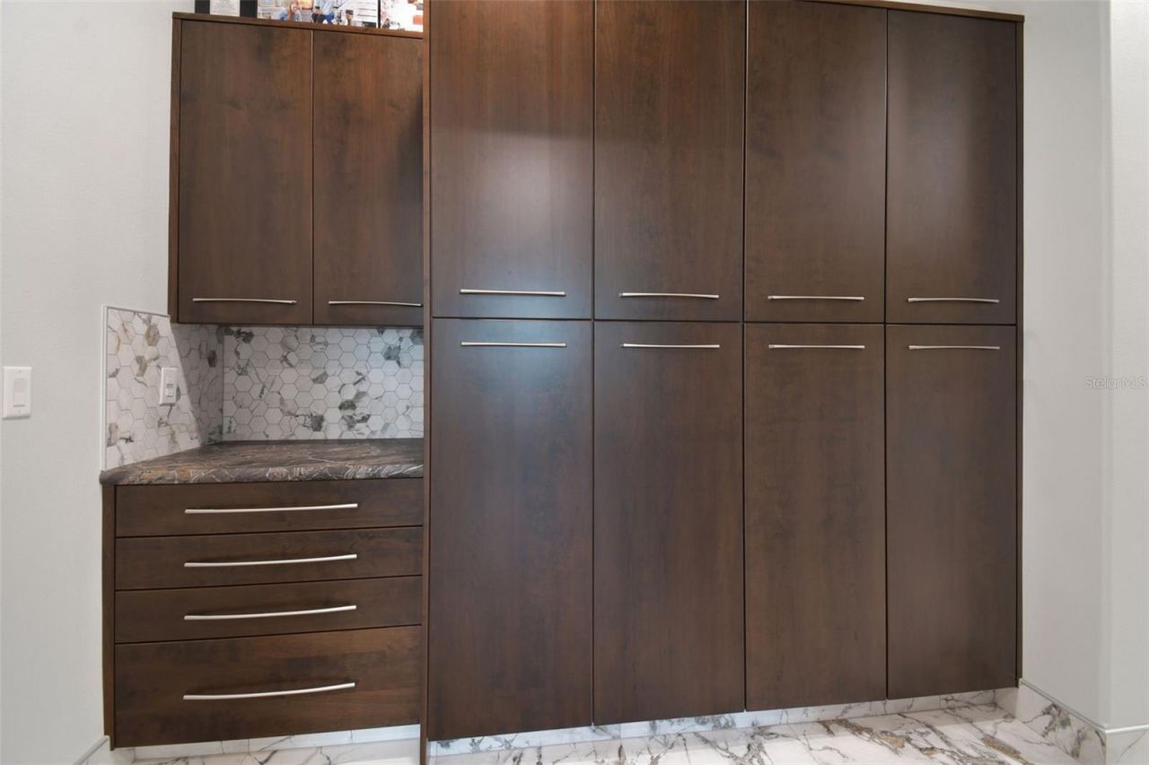 29171 Ginnetto Drive, Wesley Chapel, FL 33543 Photo