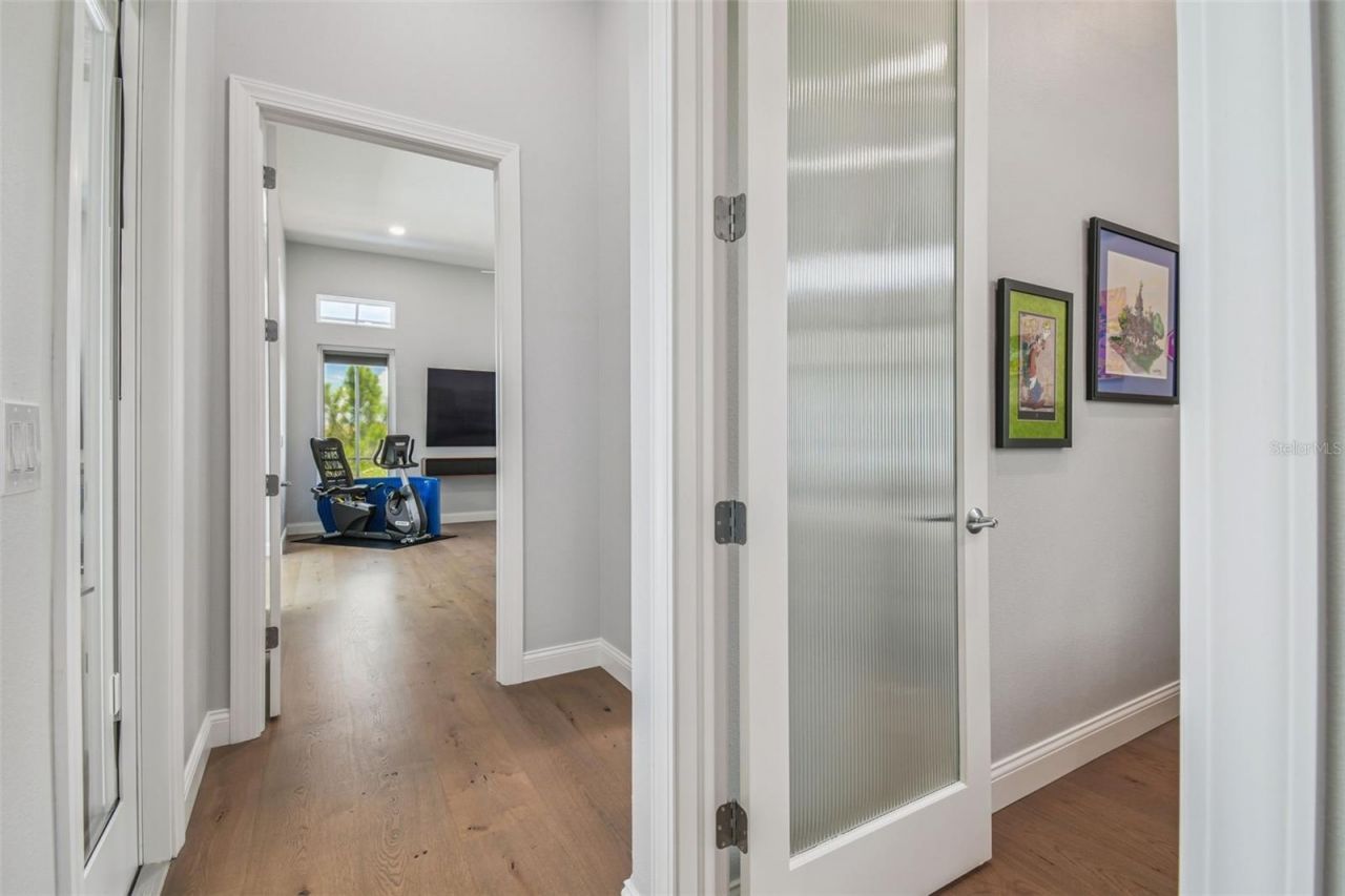 29171 Ginnetto Drive, Wesley Chapel, FL 33543 Photo