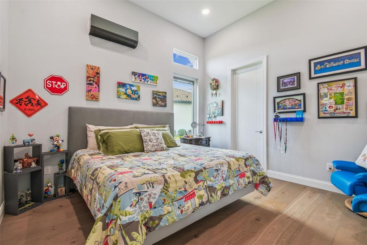 29171 Ginnetto Drive, Wesley Chapel, FL 33543 Photo