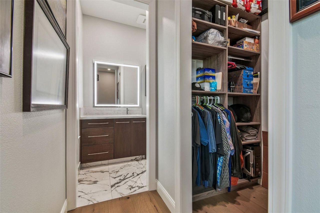 29171 Ginnetto Drive, Wesley Chapel, FL 33543 Photo