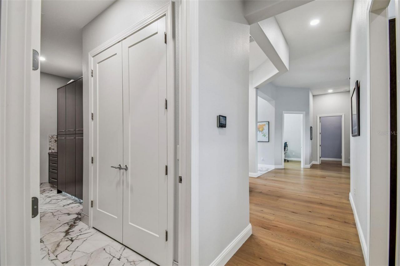 29171 Ginnetto Drive, Wesley Chapel, FL 33543 Photo