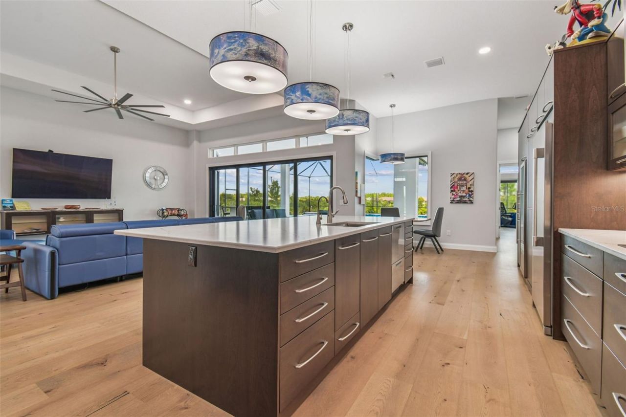 29171 Ginnetto Drive, Wesley Chapel, FL 33543 Photo