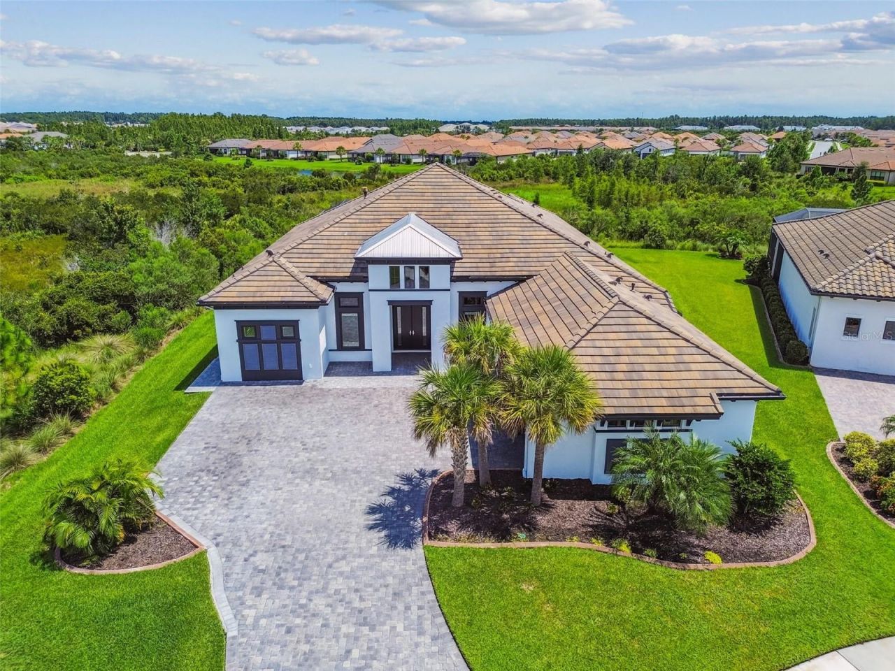 29171 Ginnetto Drive, Wesley Chapel, FL 33543 Photo