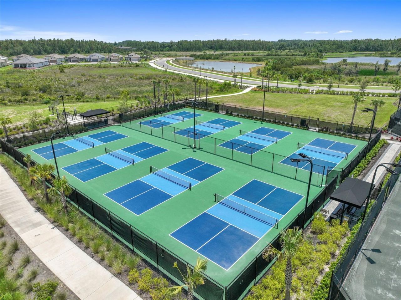 29171 Ginnetto Drive, Wesley Chapel, FL 33543 Photo