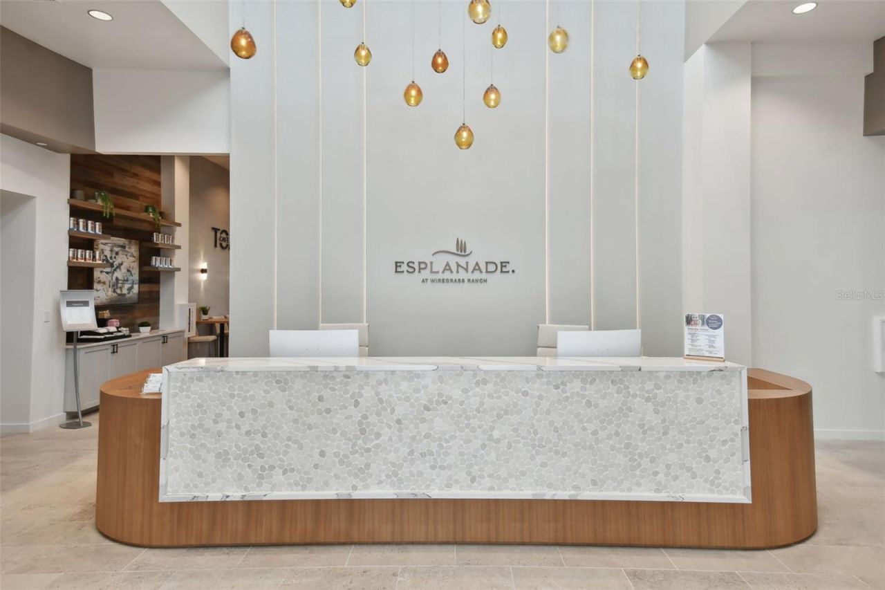 29171 Ginnetto Drive, Wesley Chapel, FL 33543 Photo