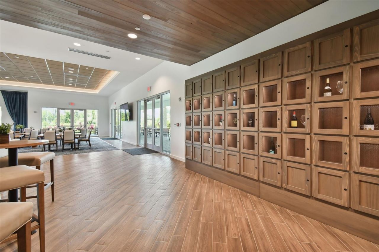 29171 Ginnetto Drive, Wesley Chapel, FL 33543 Photo