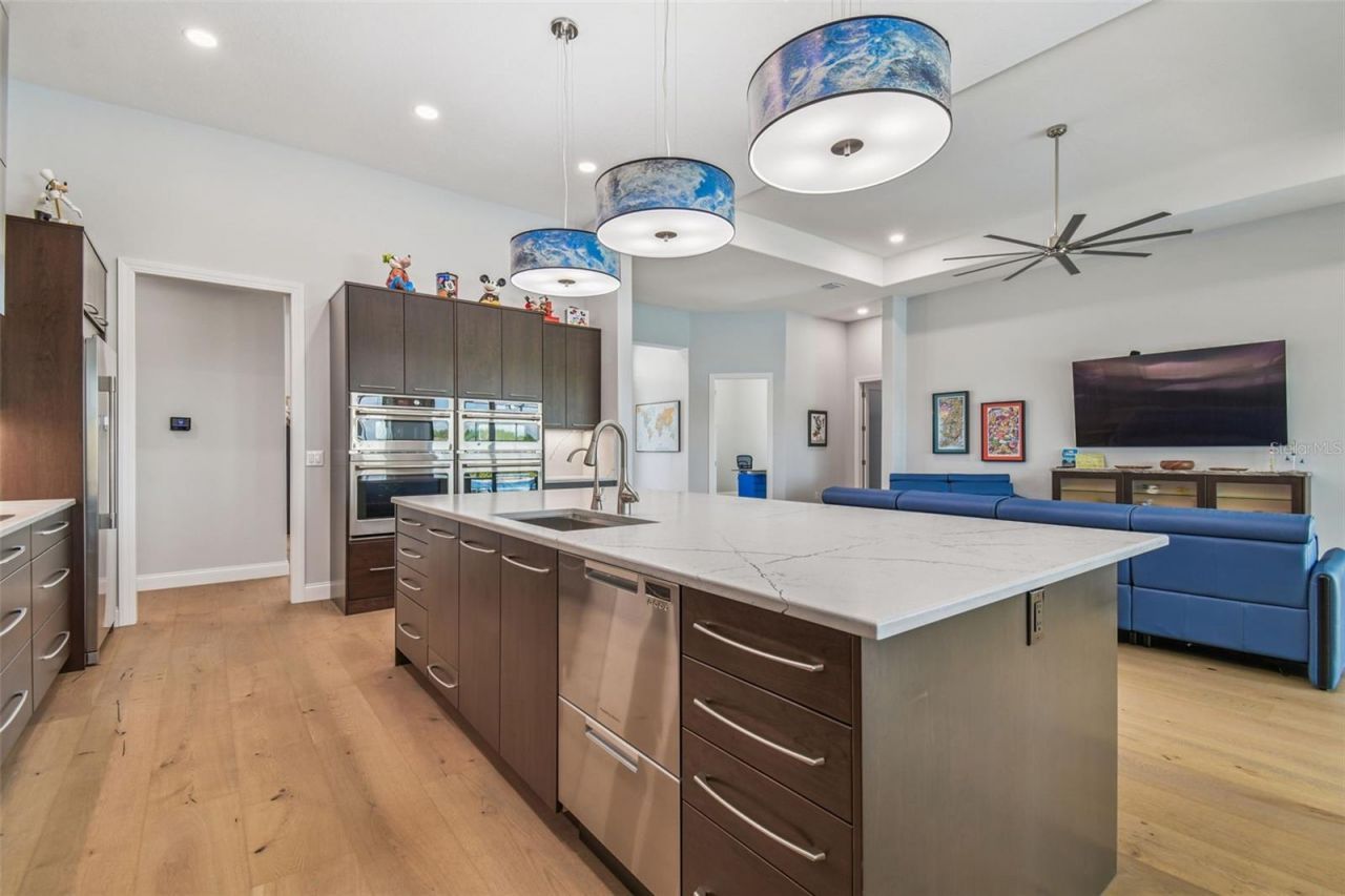 29171 Ginnetto Drive, Wesley Chapel, FL 33543 Photo