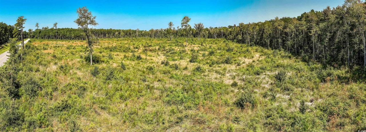 Tbd Pitch Landing Rd. Photo 14