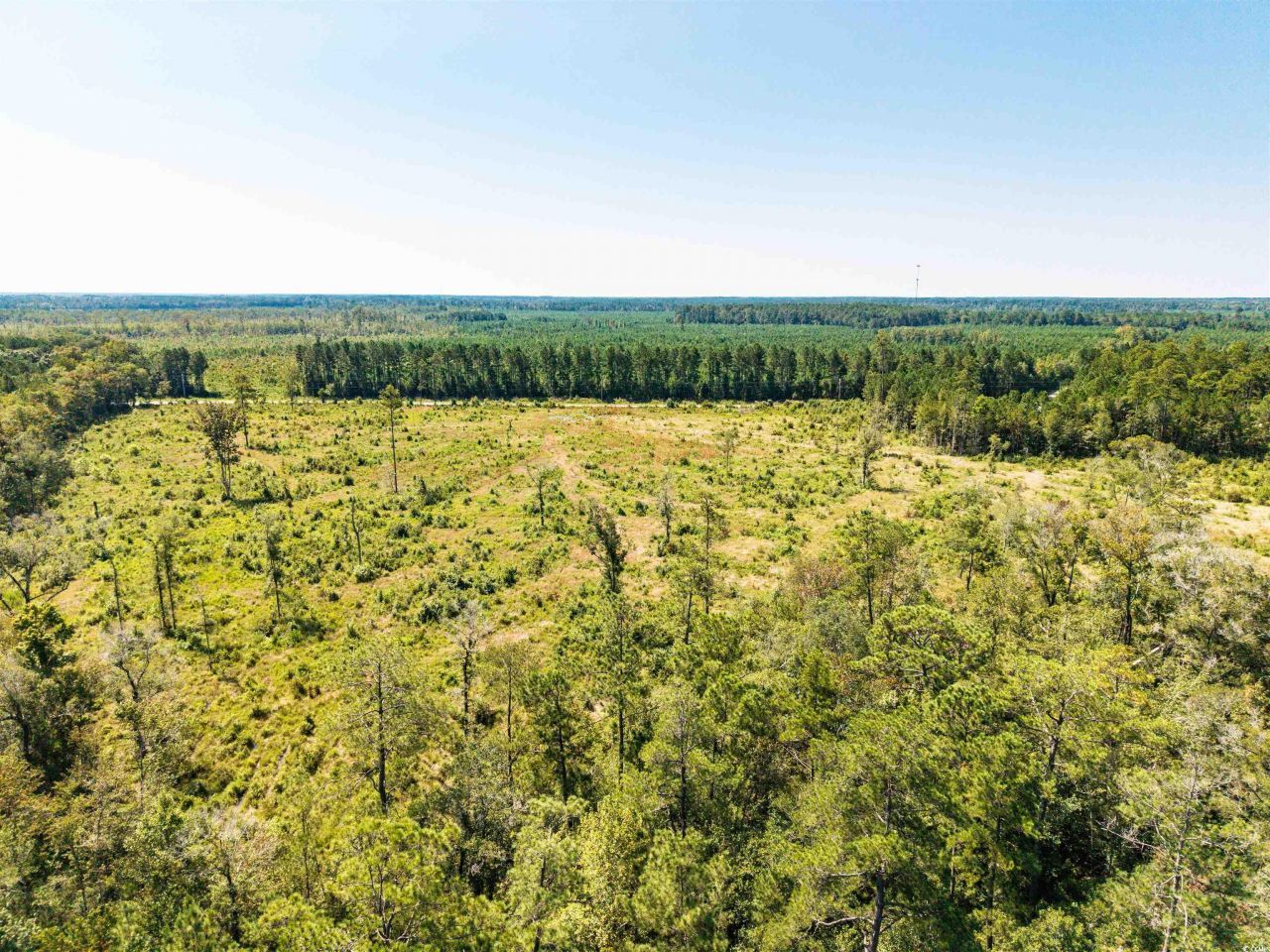 Tbd Pitch Landing Rd. Photo 15