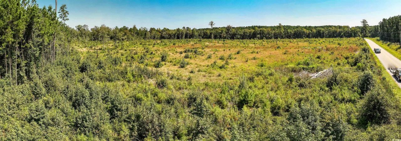 Tbd Pitch Landing Rd. Photo 16