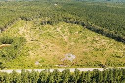 Tbd Pitch Landing Rd. photo 4