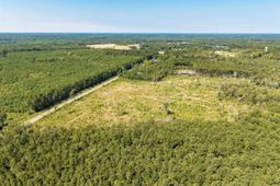 Tbd Pitch Landing Rd. photo 4