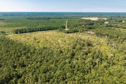 Tbd Pitch Landing Rd. photo 4