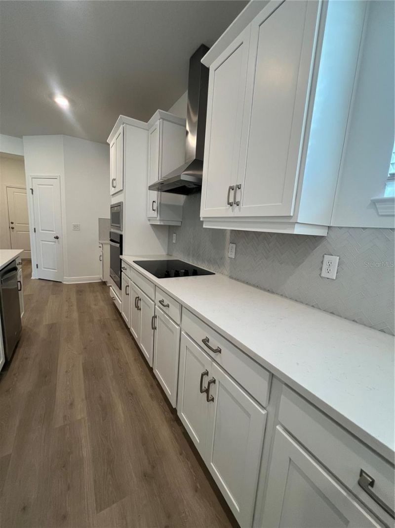 1698 Cadence Street, Minneola, FL 34715 Photo