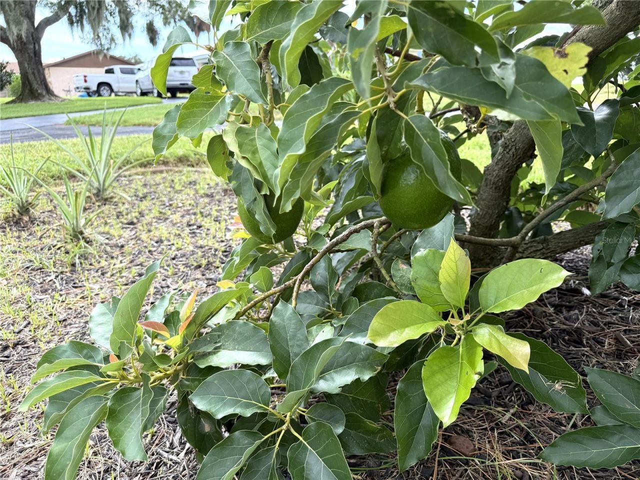 823 N Lake Reedy Boulevard, Frostproof, FL 33843 Photo