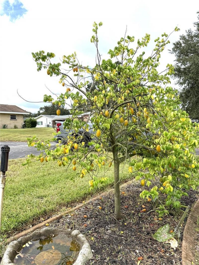 823 N Lake Reedy Boulevard, Frostproof, FL 33843 Photo