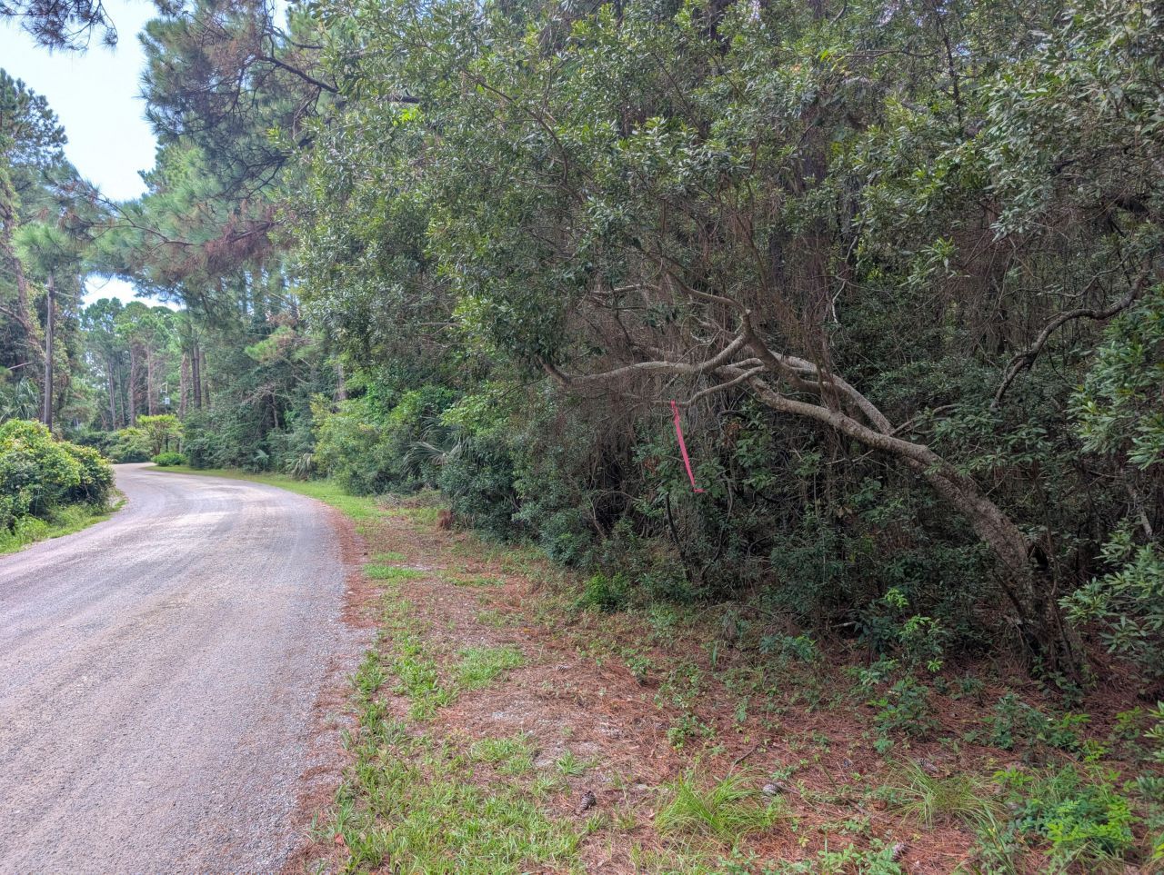 6154 Rudder Lane Photo 3