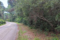 6154 Rudder Lane photo 4